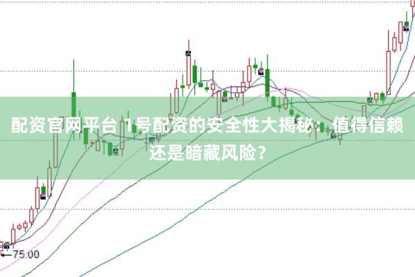 配资官网平台 1号配资的安全性大揭秘：值得信赖还是暗藏风险？