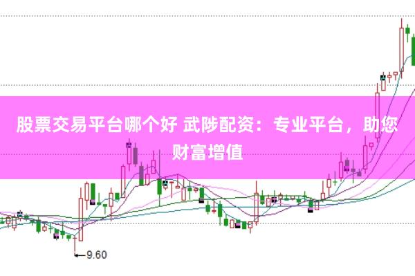 股票交易平台哪个好 武陟配资：专业平台，助您财富增值