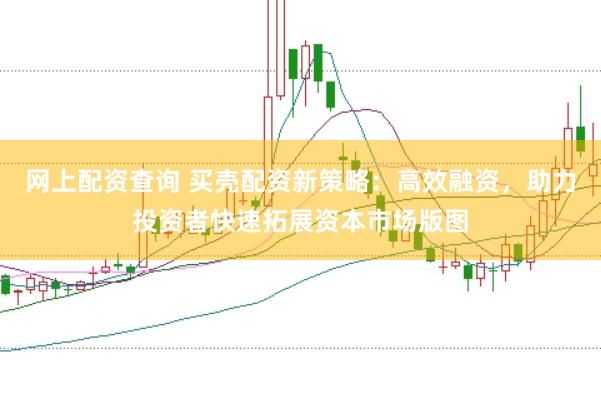 网上配资查询 买壳配资新策略：高效融资，助力投资者快速拓展资本市场版图