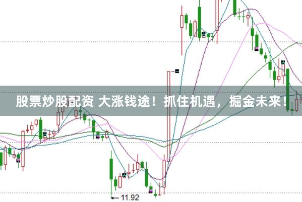 股票炒股配资 大涨钱途！抓住机遇，掘金未来！