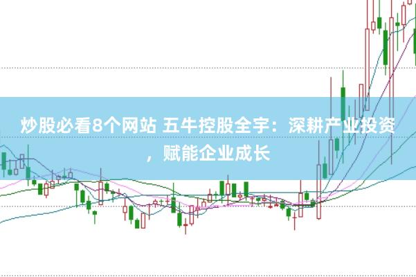 炒股必看8个网站 五牛控股全宇：深耕产业投资，赋能企业成长