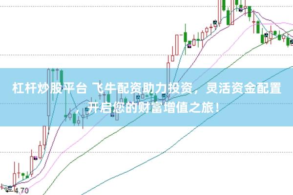 杠杆炒股平台 飞牛配资助力投资，灵活资金配置，开启您的财富增值之旅！