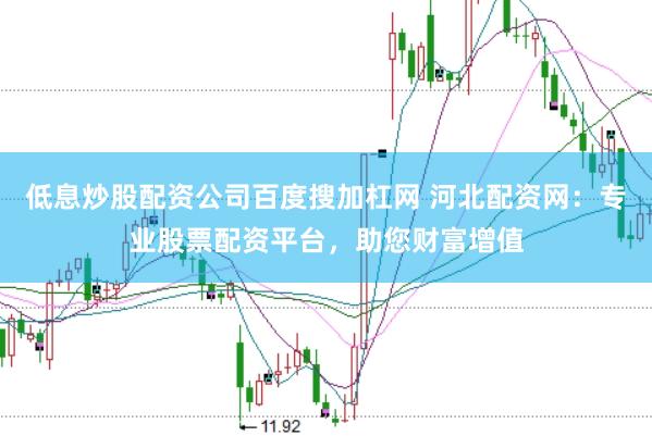 低息炒股配资公司百度搜加杠网 河北配资网：专业股票配资平台，助您财富增值