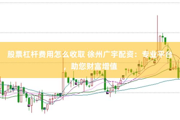 股票杠杆费用怎么收取 徐州广宇配资：专业平台，助您财富增值