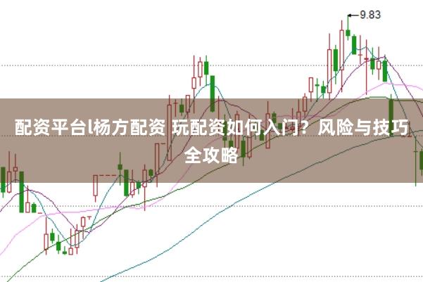 配资平台l杨方配资 玩配资如何入门？风险与技巧全攻略