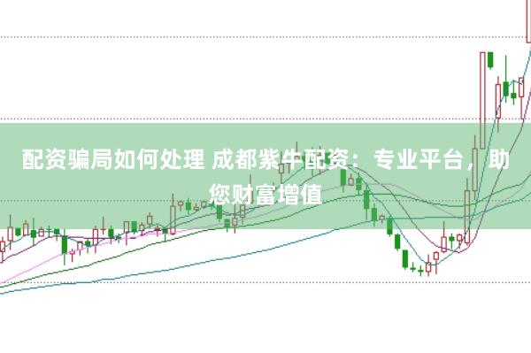 配资骗局如何处理 成都紫牛配资：专业平台，助您财富增值