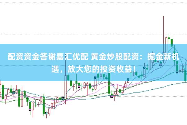 配资资金答谢嘉汇优配 黄金炒股配资：掘金新机遇，放大您的投资收益！