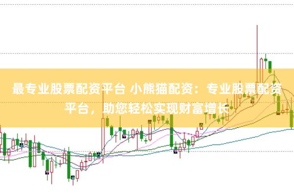 最专业股票配资平台 小熊猫配资：专业股票配资平台，助您轻松实现财富增长