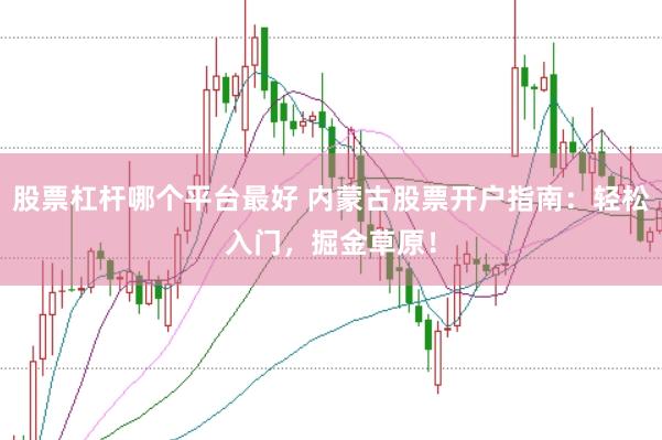 股票杠杆哪个平台最好 内蒙古股票开户指南：轻松入门，掘金草原！