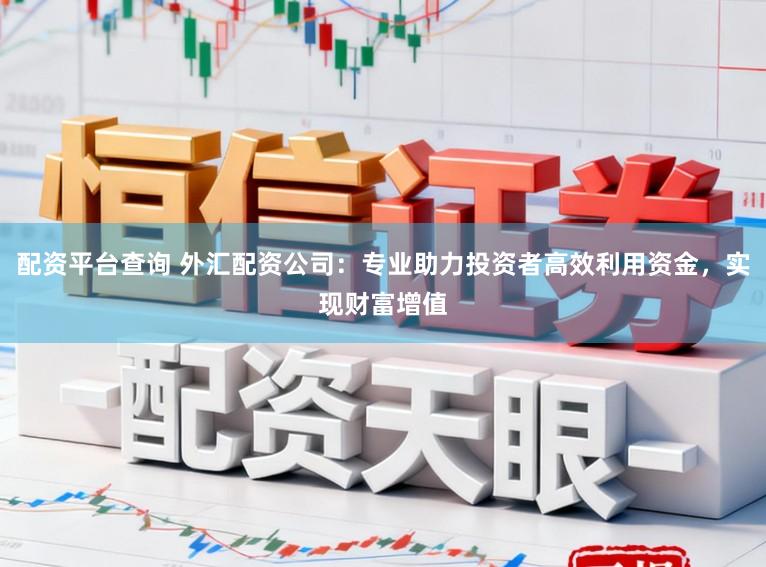 配资平台查询 外汇配资公司：专业助力投资者高效利用资金，实现财富增值